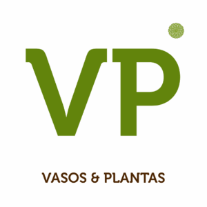 Vasos e Plantas